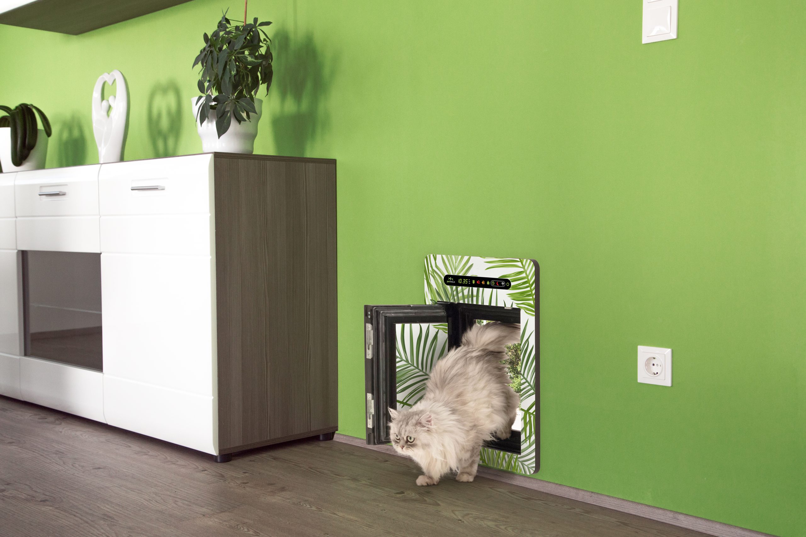 weißer Husky schaut durch die petWALK Hundetüre eingebaut in Mauerwerk mit sommerlicher Tapete